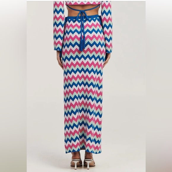 NWT! ANTHROPOLOGIE CHARLIE HOLIDAY CANDICE STRETCH KNIT MAXI SKIRT - S - Picture 1 of 4